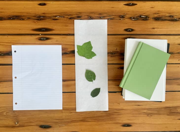 How To Press Leaves Apartment Therapy